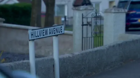 Hillview Avenue sign