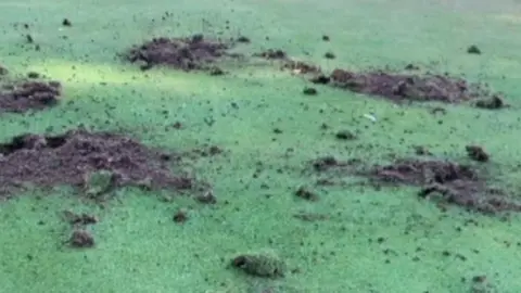 Damaged golf course.