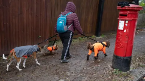 Getty Images Person walking dogs