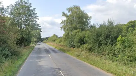 Google Street View of Luzborough Lane - a long straight two-way road lined with hedges and trees