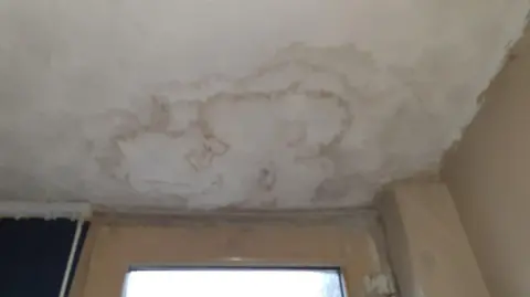 Liverpool City Council Damp and mould growing on a white ceiling