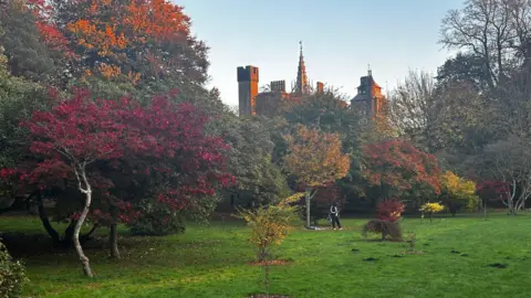 An autumnal photograph of Bute Park. Cardiff Castle is bathed in sunlight in the background. The trees in the foreground range in colour from green to brown and russet