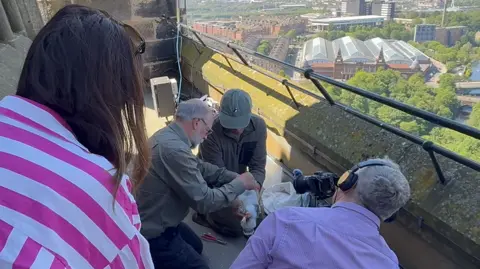 Clarke Elsby People tag a peregrine falcon chick on the rooftop of the tall Gilbert Scott tower. Glasgow can be seen in the distance below