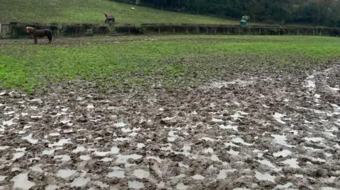 A water sodden field. Two horses are roaming on the grassy part in the background.