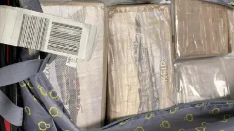 Several rectangular white blocks of cocaine inside a grey bag. Each block is wrapped in clear plastic over brown packaging. 