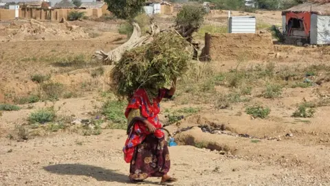 A woman walks in scallands holding a bush rods on her head. There are huts in the background. 