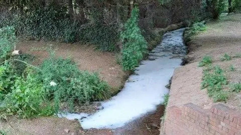 Water that has turned white near a bank. There is greenery around it.