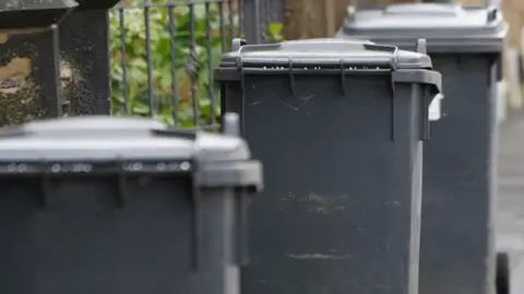 Black bins lined up on a street