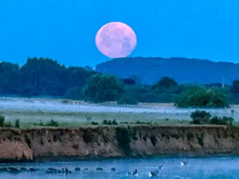 Benzla The moon over a nature reserve in Hoveringham