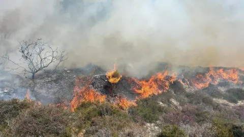 A section of cliff, covered in grass and purple heather plants is covered in fire and smoke