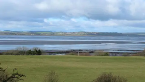 Billy McCrorie A view across Wigtown Bay in the south of Scotland with grass and trees in the foreground and low water in the distance