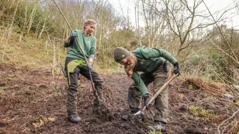 Two women planting a Japanese cherry blossom tree at the Eden Project in Cornwall. They are both wearing green Eden branded jumpers. One is holding the tree while the other is holding a shovel digging a hole. 