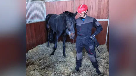 A dark-coloured horse being held by a man who is wearing a dark jumpsuit and a red helmet.