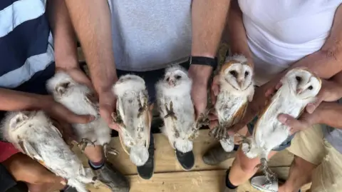 Five people, whose hands are pictured, can be seen holding the six white owlets.