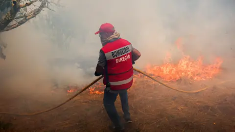 Reuters A firefighter works to extinguish a wildfire in Penalva do Castelo, Portugal