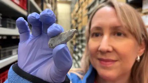 Leeds Museums A woman holding a grey coloured small object which was unearthed during an archaeological dig. She is wearing a lilac coloured latex glove. 