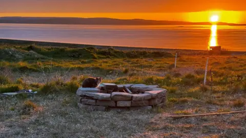 Crag Nisbet A cat sits at a fire pit, while the sun sets in the distance