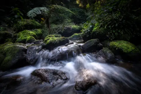 Tony Jolliffe A stream on Mabu Mountain