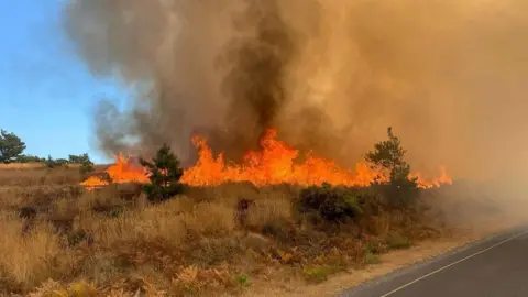 Swanage Fire Station Large flames in heathland near a road