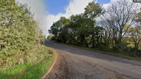 A Google Maps image of a road. There are trees on either side of the road. 