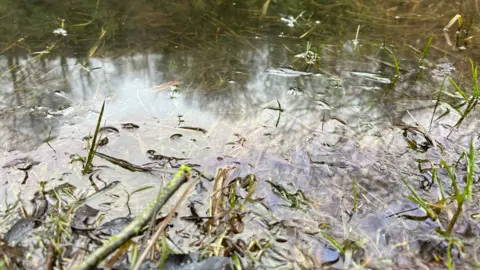 A close-up of oil at the edge of a pond in Radcliffe