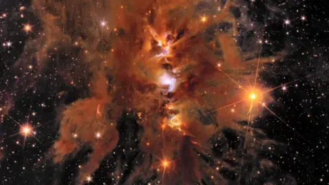 An image of a vibrant nursery of star formation enveloped in a shroud of interstellar dust. This image shows the densest part of the molecular cloud complex and a region with ongoing star formation