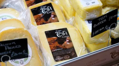 Caws Teifi Caerphilly cheese on display