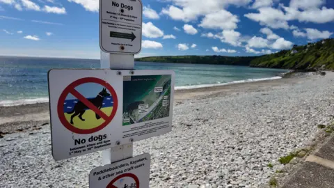 A sign on the beachfront explains the areas you can and can't walk your dog, and the hours the rules are enforced. It reads "No dogs, between 10am and 6pm - 1st of May-30th September."