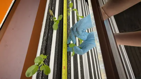 STFC Vertical farming