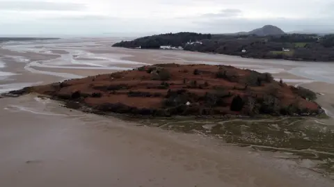 Steve Berry | Dyfi Architecture Aerial photo of the island taken from a distance showing it at low tide surrounded by a sea of sand. It is covered in brown bracken and green trees and, in the background, the mainland came be seen with mountains in the distance