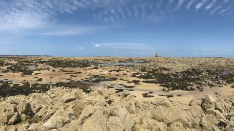 DR MATT POPE Violet bank 