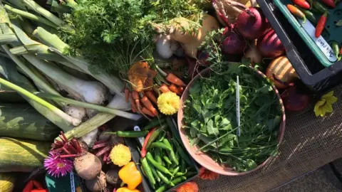 Fitzwilliam College Vegetables