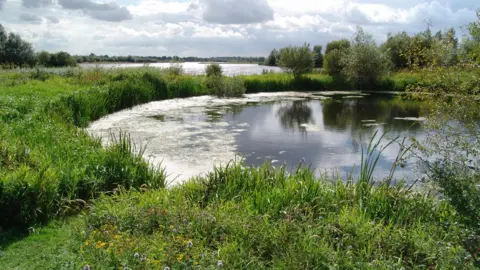Nathalie Hueber Summer Leys Nature Reserve, showing water, trees, bushes, wildlife and fields in the distance.