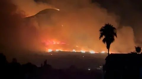 A fire burning at night. A tree is silhouetted against the flames