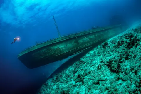 Tobias Friedrich A scuba diver is dwarfed by a shipwreck in the Bahamas
