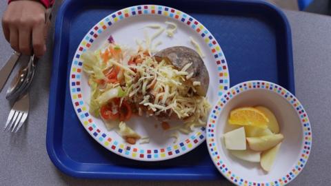 A tray with a school meal