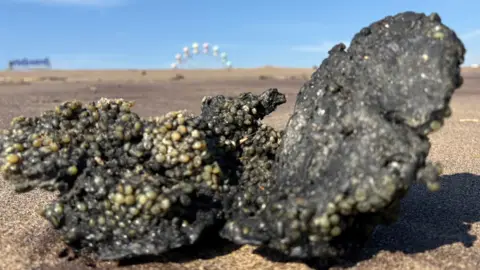 Kevin Shoesmith/BBC Gumpalan menghitam yang terdiri dari pelet yang dikenal sebagai Nurdles. Mereka digunakan untuk membuat plastik.