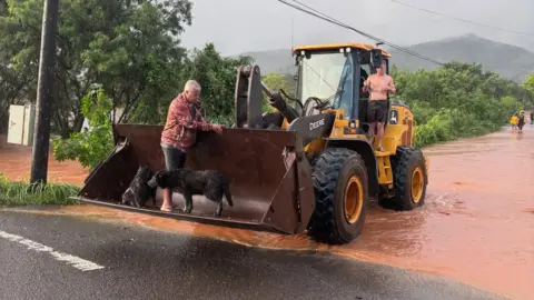 Honolulu Fire Department Two men and two dogs stand on a tractor in floodwater
