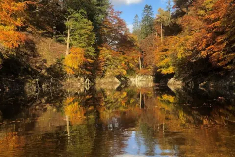 John Wylie Autumn reflections