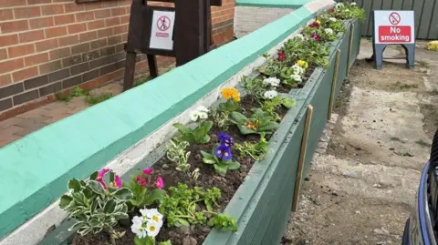 Miriam Lowe The shrubs and primroses pictured in the beds before they were taken. 