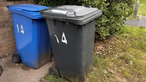 Eden Hannigan/BBC A blue and a black bin next to each other