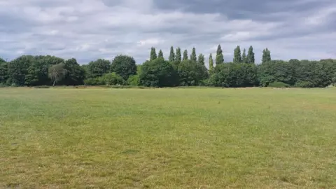 LDRS A green field with trees in the background.