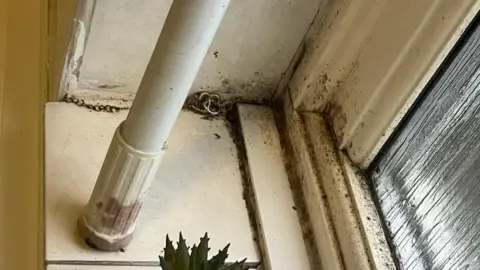 Kelisha Walker A small potted plant rests on a tiled windowsill beside a white pole, with visible dirt and grime along the edges. The window frame appears worn and stained, suggesting a lack of recent maintenance.
