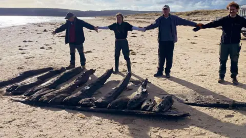 Four people standing with their arms outstretched on a beach. They are in front of a large section of wood from a shipwreck that has been exposed.