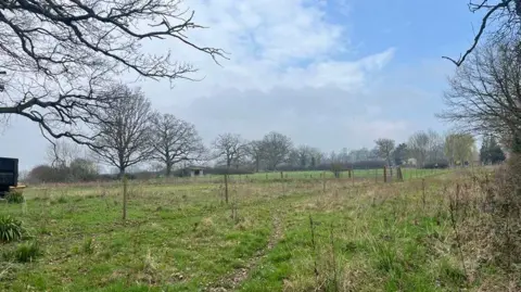 A field has trees planted at intervals, with their branches bare in winter. The sky is blue and there is light cloud. There are farm buildings to one side and in the distance.