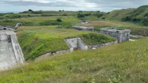 A general view shot above the battery, showing grass on top of it and part of the site.