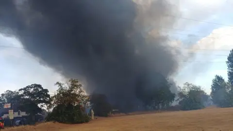 LFB Smoke from large fire above a yellow field, with trees on the horizon. 