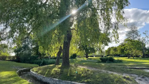 Weather Watchers/Amanda Norfolk Elizabeth Gardens in Salisbury with the sun shining through the leaves of a tree.