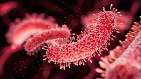 An animated illustration of a red bacteria, which looks a bit like a caterpillar, floating in fluid.