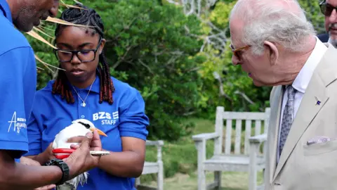 PA Media King Charles III in a beige suit looking at a Bermuda Longtail bird, which is being held by two Bermuda Zoological Society members in blue t-shirts. They are also holding pliers. 